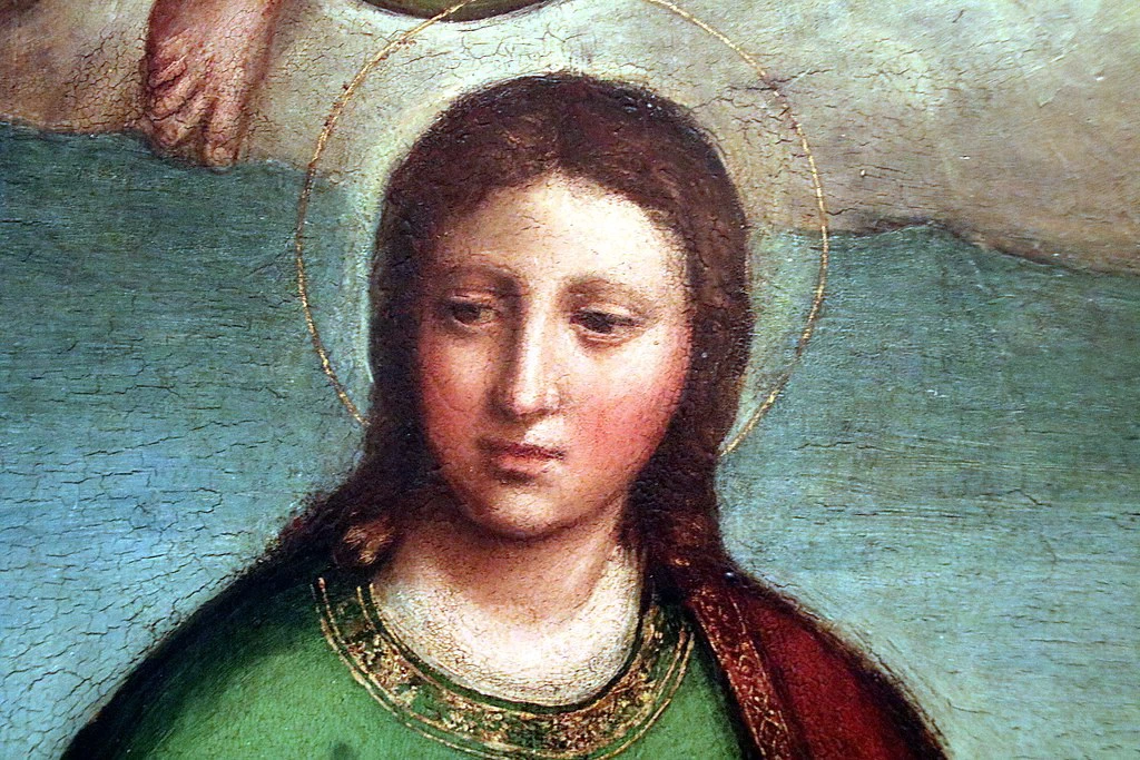 La Madonna col Bambino sulle nubi adorata dai santi - dettaglio 1